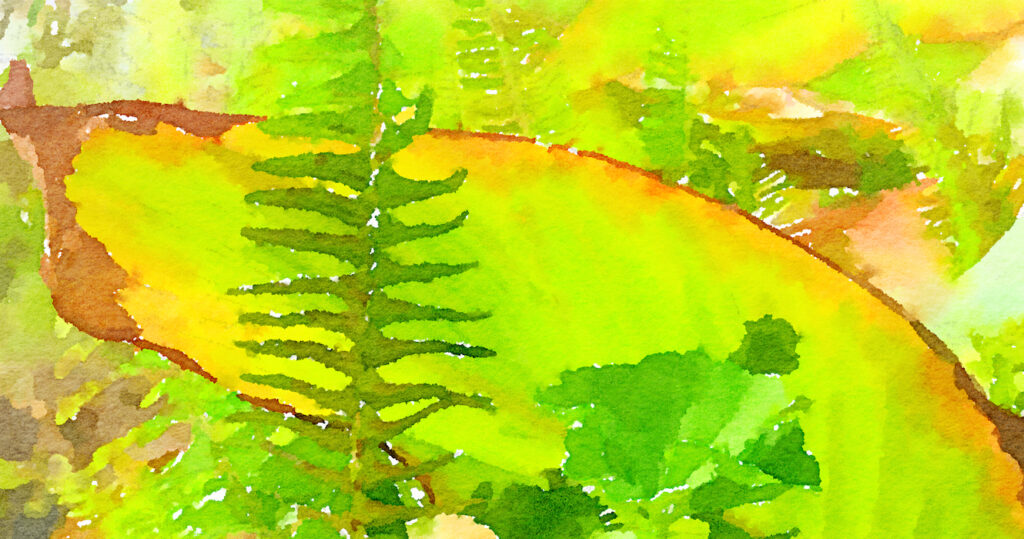 Stylized fern leaf against a green/yellow background