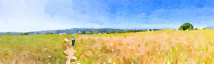 Stylized field image. Santa Barbara, CA