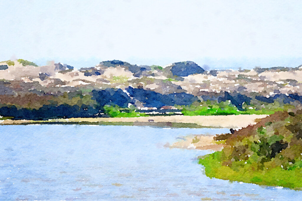 Paint - Cuyama River beach