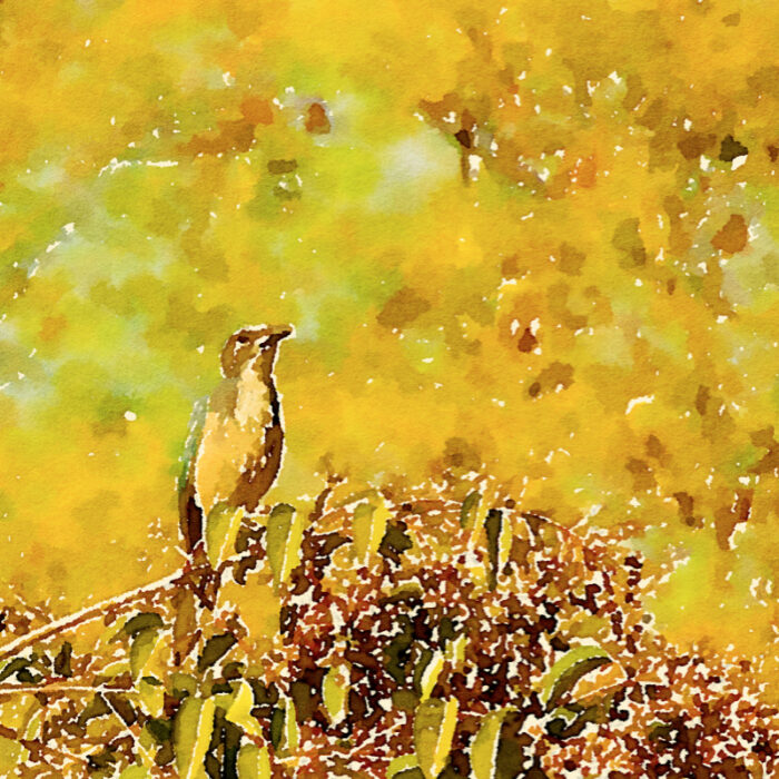 Stylized bird on branch - warm colors