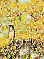 Stylized bird on branch No 2- warm colors