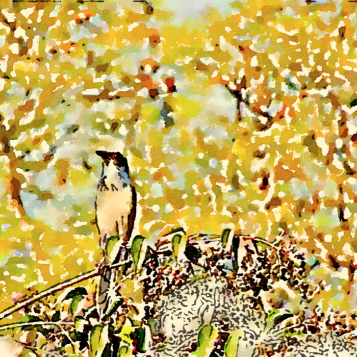 Stylized bird on branch No 2- warm colors