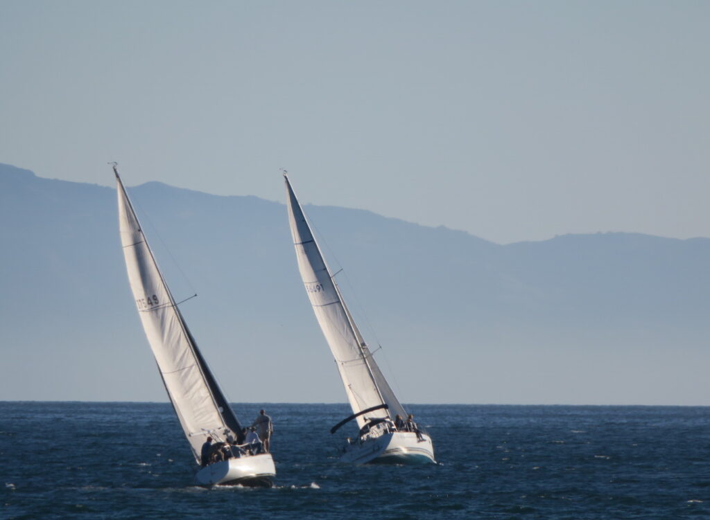 Sailboats in the Santa Barbara Channel