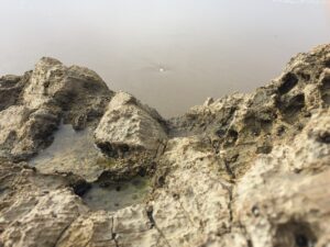 Rocks near the water. Hendry's Beach. Santa Barbara, California