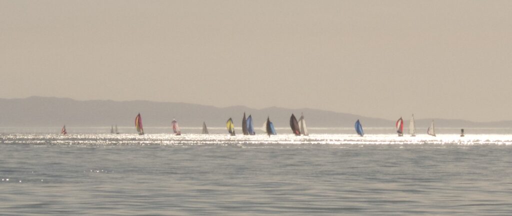 Sailbot Race. Santa Barbara harbor