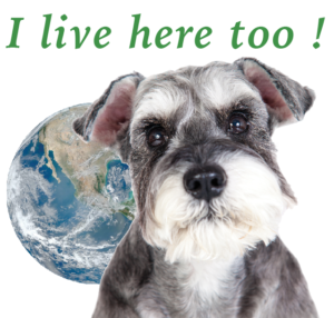 Schnauzer dog saying "I live here too!" re: Climate change