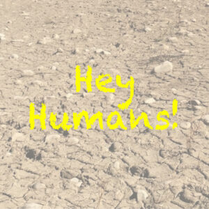 A dry lakebed with words "Hey Humans" calling for climate change action