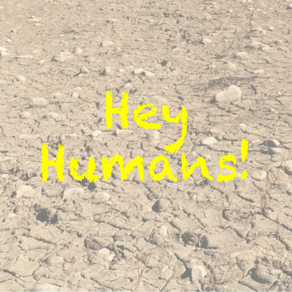 A dry lakebed with words "Hey Humans" calling for climate change action