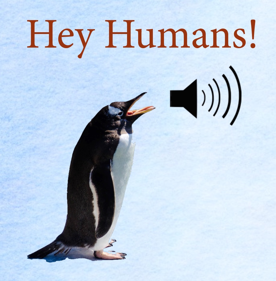 Photo of a penguin saying "Hey Humans"