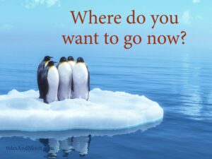 Penguins on an ice island say "Where do you want to go now?" Climate action sign