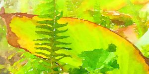Stylized fern leaf against a green/yellow background