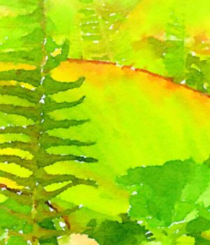Stylized fern leaf against a green/yellow background