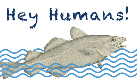 Fish drawing, with words "Hey Humans"
