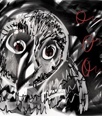 Owl drawing by P Solon