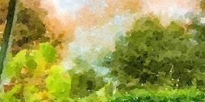 Stylized green garden with Autimn sky