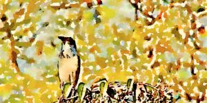 Stylized bird on branch No 2- warm colors
